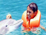 Dolphin Cove Admission and Jungle Trail - Paradise Vacations Transport Service Montego Bay, Jamaica - St. James PO # 2, Jamaica West Indies -  http://www.paradisevacationsjamaica.com; E-mail: paradisevacationsja@yahoo.com