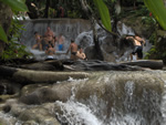 Dunn's River Falls - Paradise Vacations Transport Service Montego Bay, Jamaica - St. James PO # 2, Jamaica West Indies -  http://www.paradisevacationsjamaica.com; E-mail: paradisevacationsja@yahoo.com