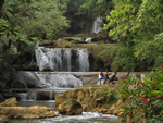 Jamaica Y's Falls