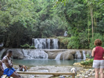 Jamaica Y's Falls